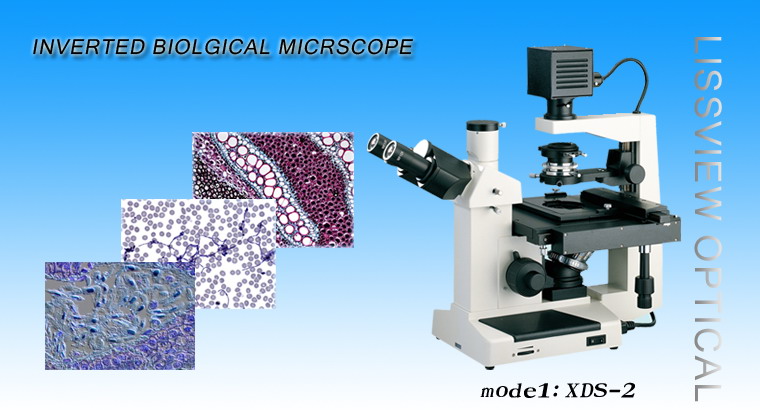 Инвертированный микроскоп XDS-2