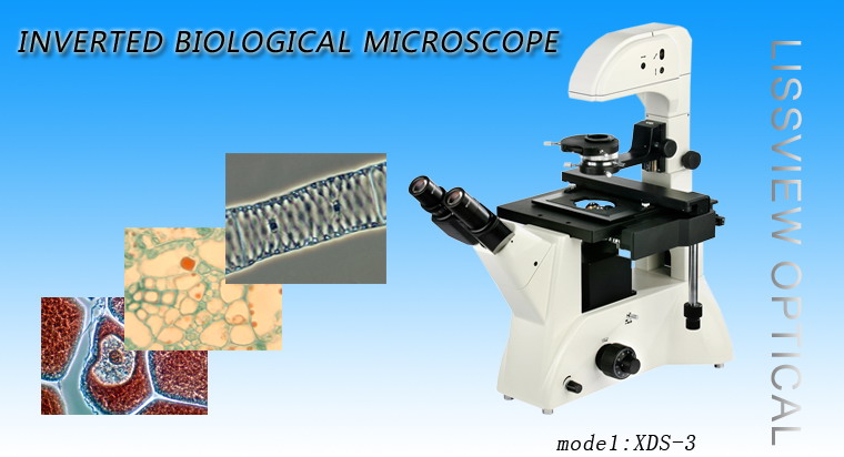 Инвертированный микроскоп XDS-3