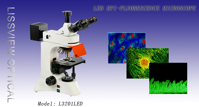 Люминесцентный микроскоп L-3201 LED