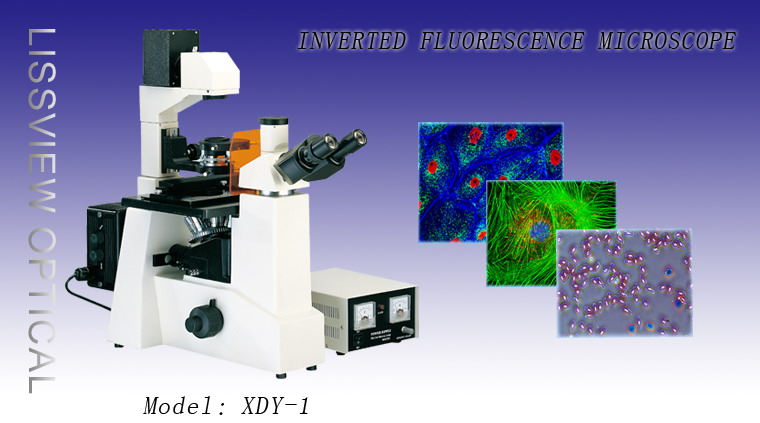 Люминесцентный микроскоп XDY-1