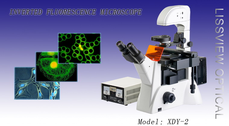 Люминесцентный микроскоп XDY-2